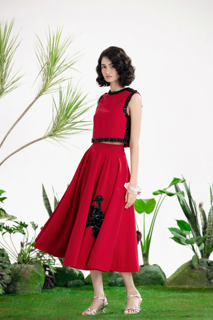 VISION OF LOVE SKIRT SET-Co-ord Set-Siddhartha Bansal