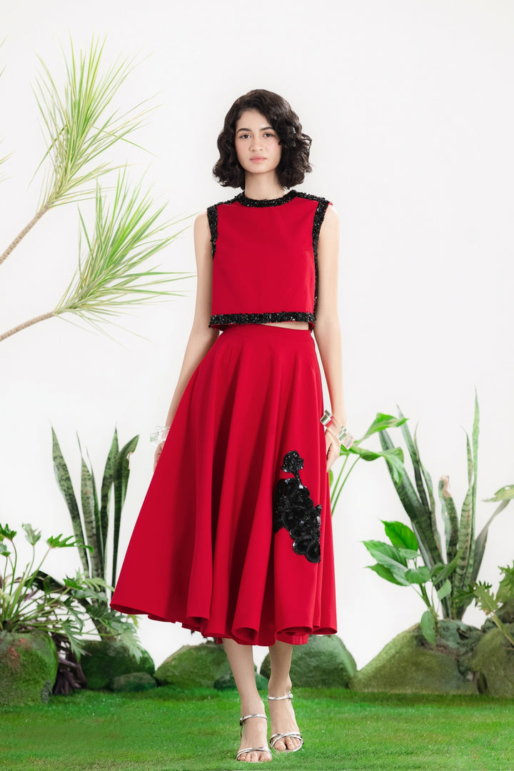 VISION OF LOVE SKIRT SET-Co-ord Set-Siddhartha Bansal