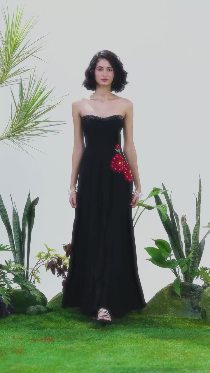 BLACK SWAN DRESS